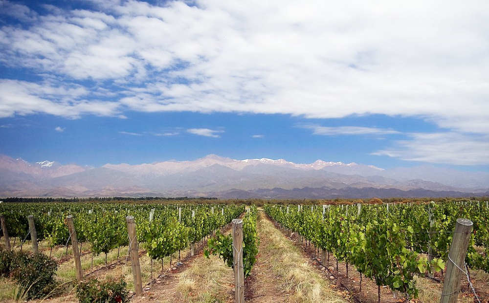 Roteiro de 7 Dias em Mendoza: Vinícolas e Aventura na Argentina