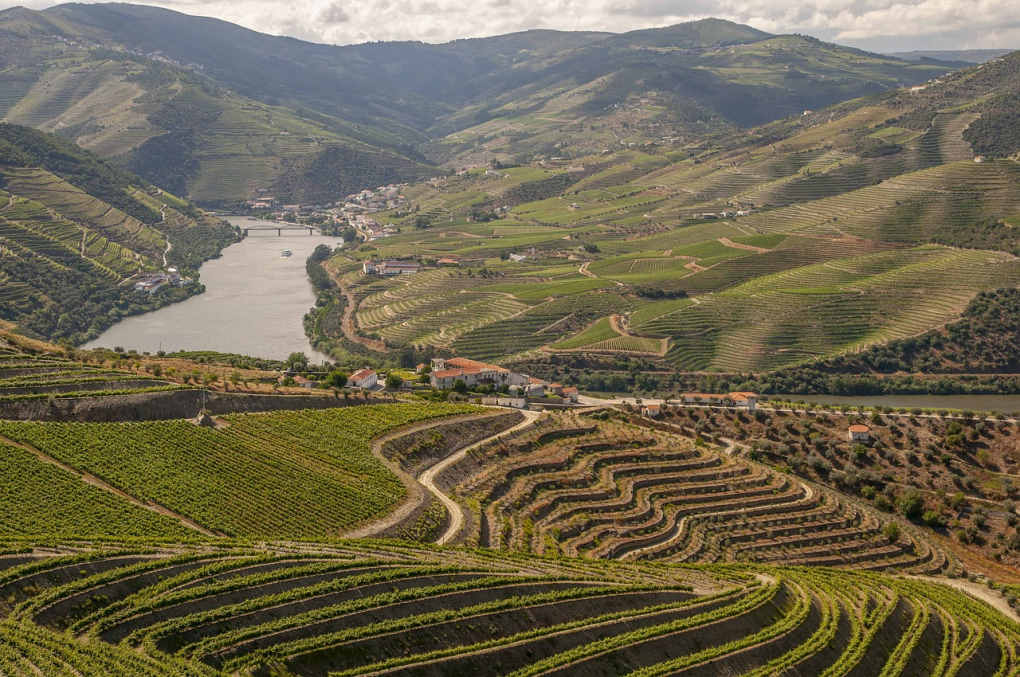 Roteiro região do Douro - Vinícolas do Douro